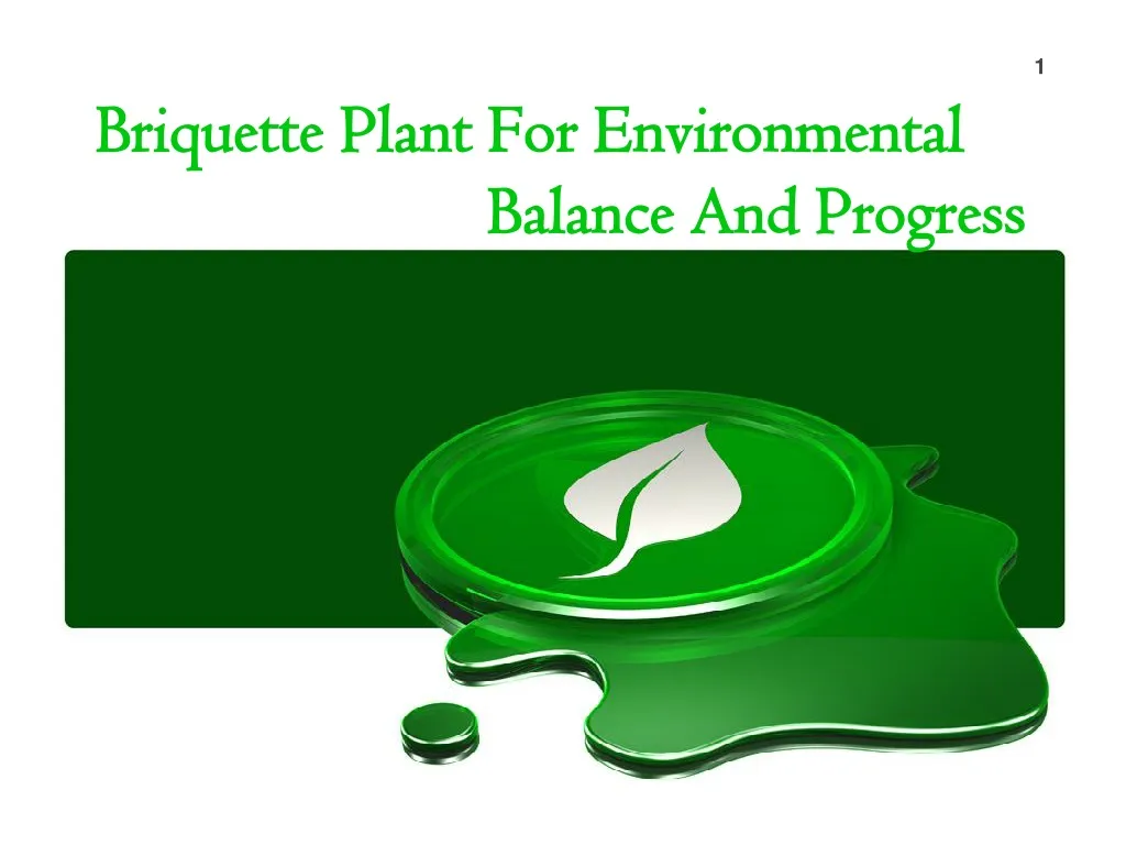 briquette plant for environmental balance and progress