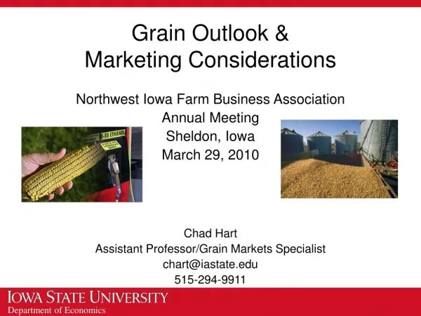 Grain Outlook &amp; Marketing Considerations