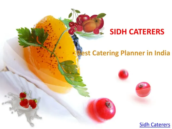 Best Catering Planner in india