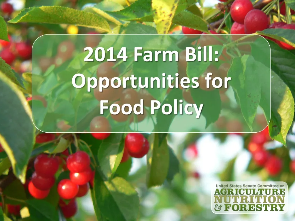 2014 farm bill opportunities for food policy