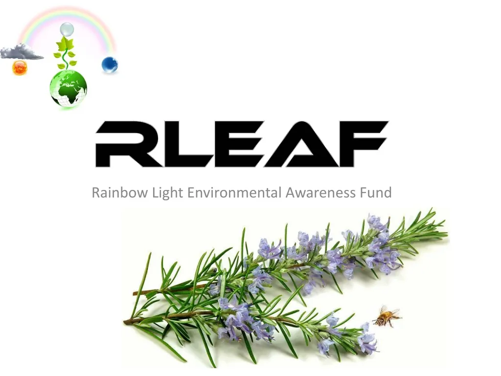 rainbow light environmental awareness fund