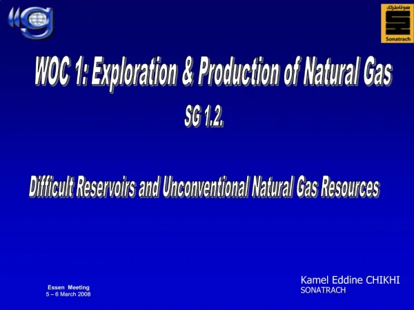 SG 1.2. Difficult Reservoirs and Unconventional Natural Gas Resources
