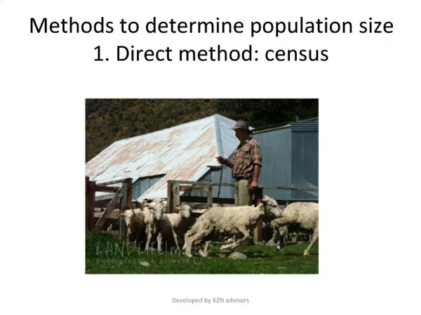 Methods to determine population size 1. Direct method: census