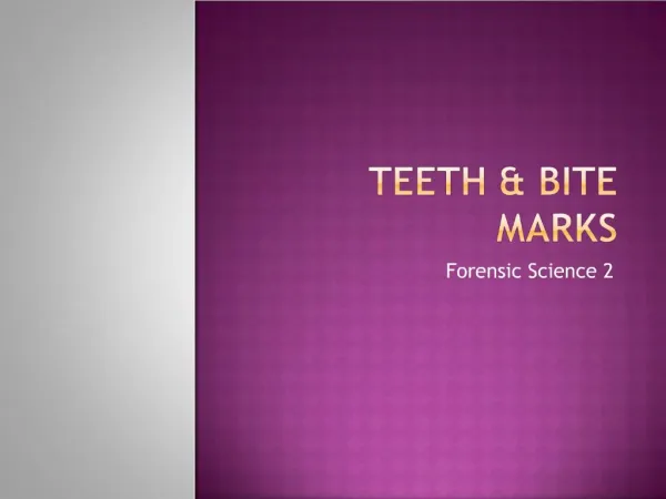 Teeth Bite Marks