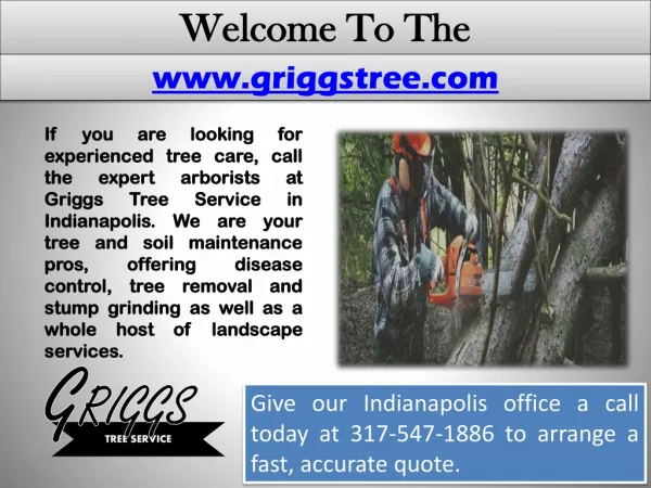 Tree Service Indianapolis - Tree Removal - Snow Removal