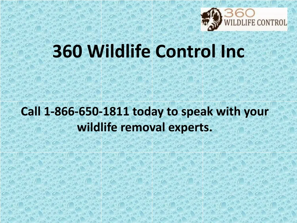 360 wildlife control inc