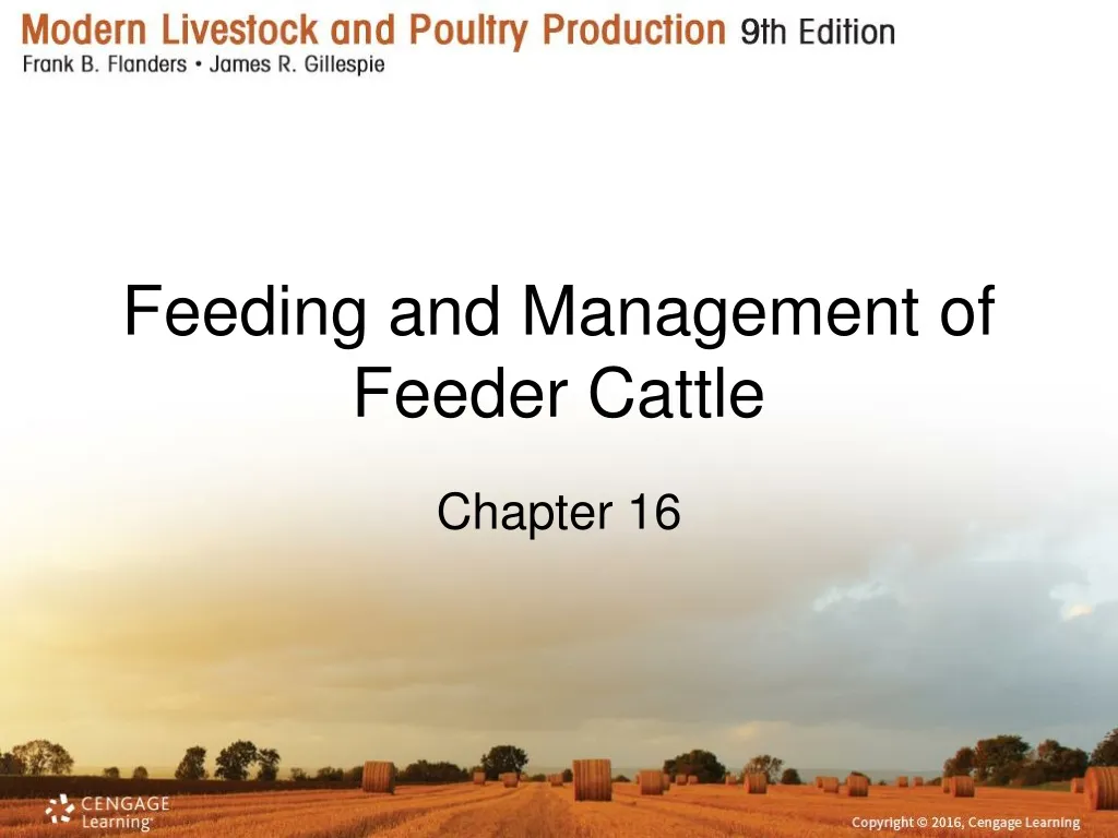 feeding and management of feeder cattle