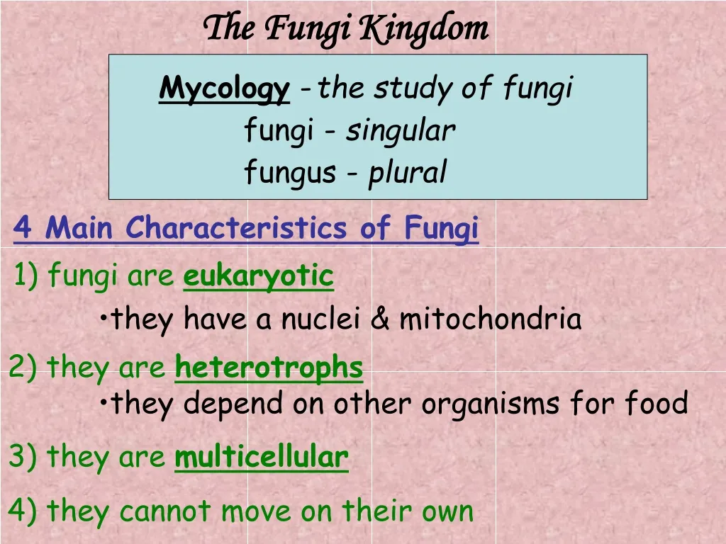 the fungi kingdom