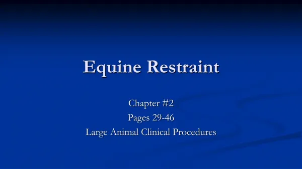Equine Restraint
