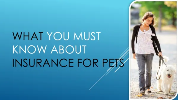 What You Must Know About Insurance For Pets