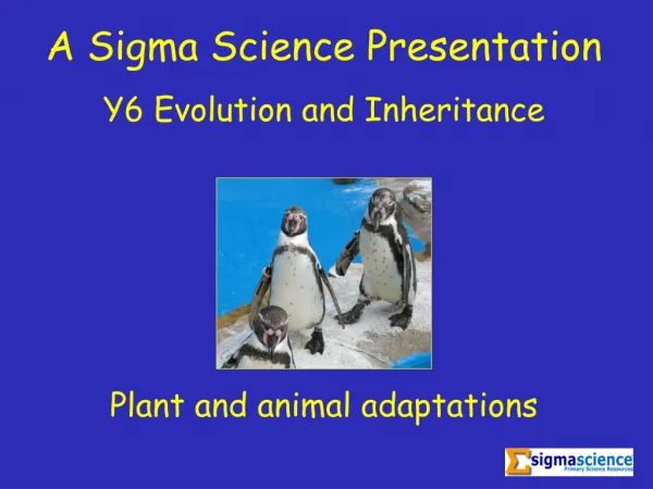 A Sigma Science Presentation