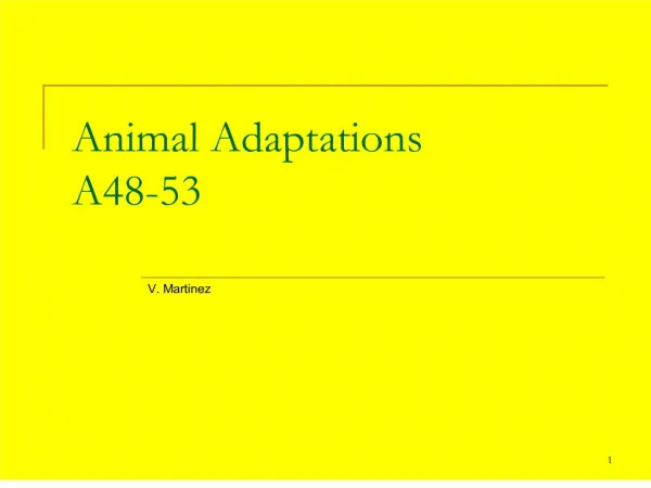 animal adaptations a48-53