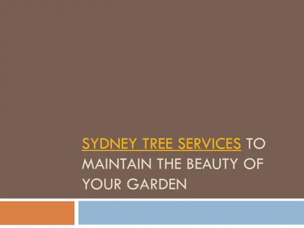 Sydney tree srvices to maintain your garden's beauty
