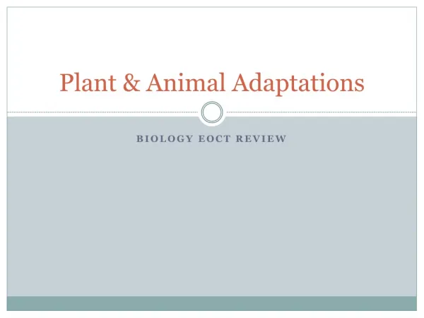 Plant &amp; Animal Adaptations