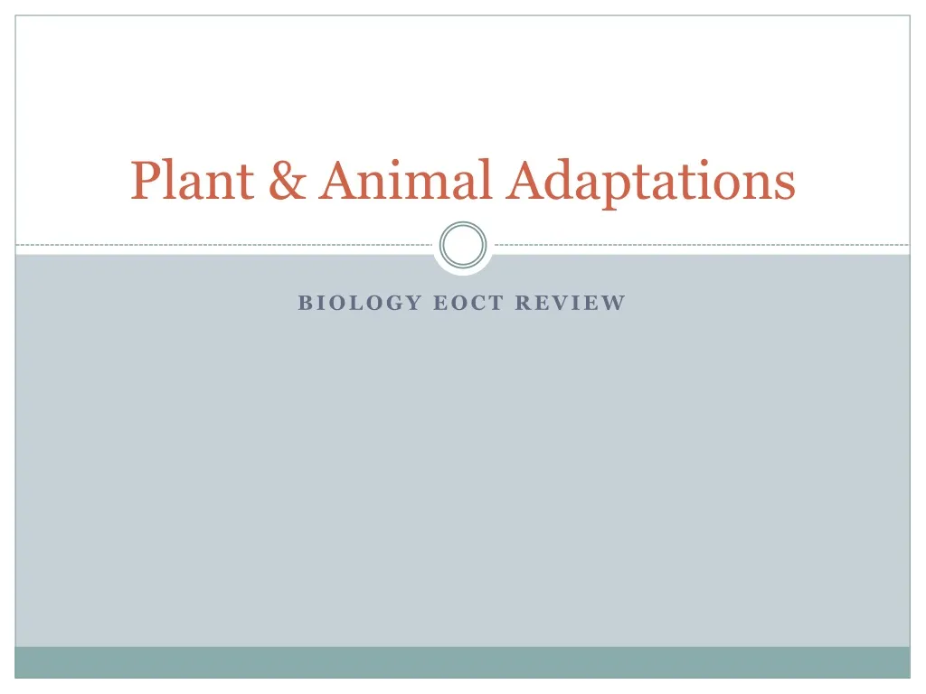 plant animal adaptations