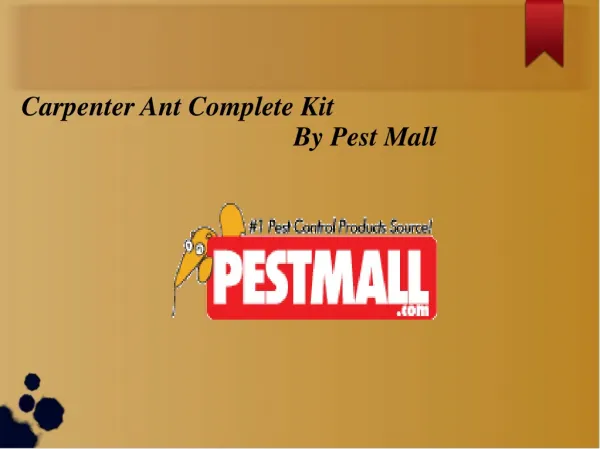 Carpenter Ant Complete Kit