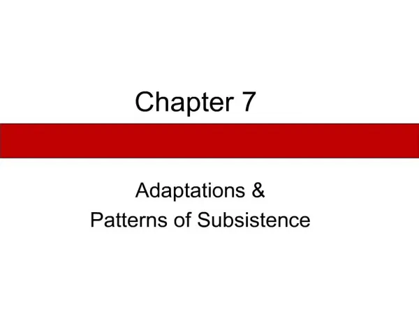 chapter 7