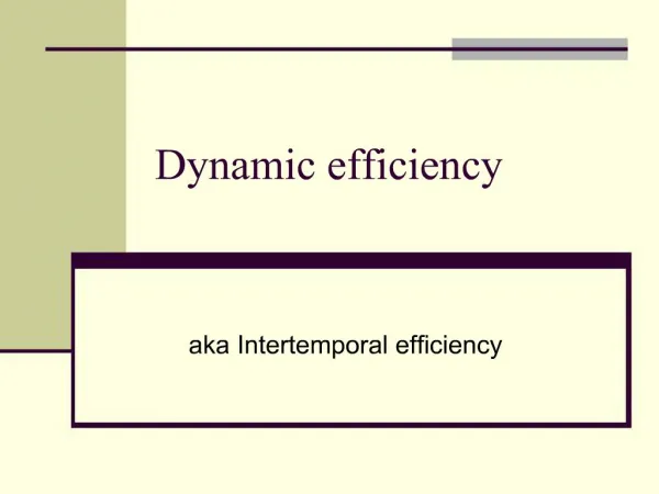 Dynamic efficiency