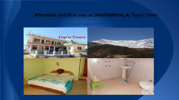 Affordable and Best stay at DHARAMSHALA| Top'n' Town