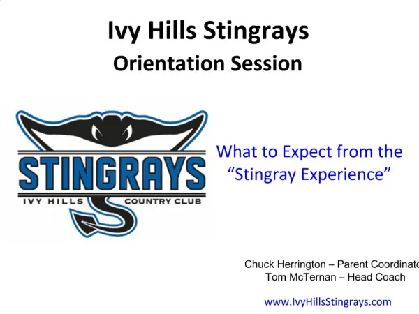 What to Expect from the Stingray Experience