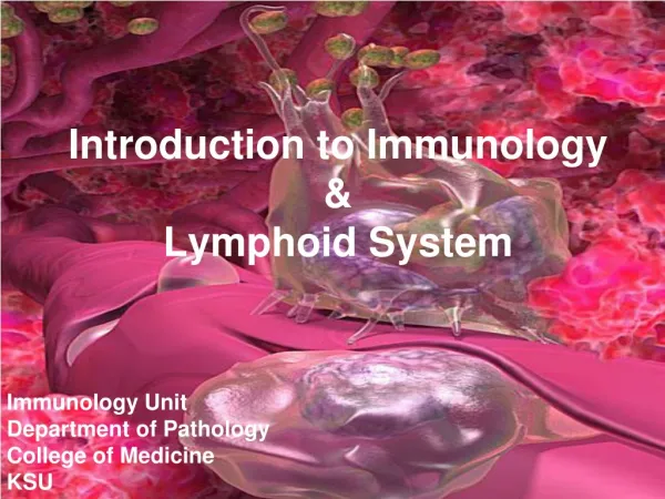 Introduction to Immunology &amp; Lymphoid System