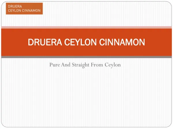 Vital Uses of Ceylon Cinnamon