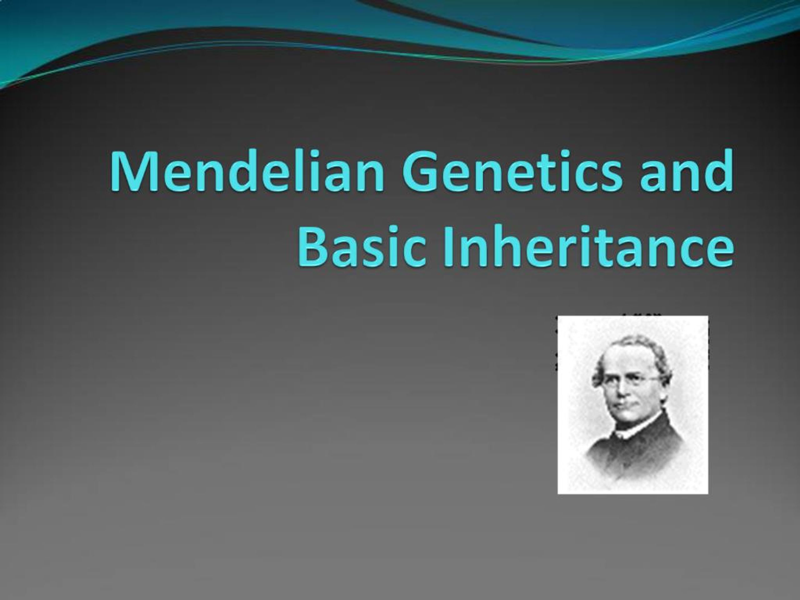 PPT - Mendelian Genetics and Basic Inheritance PowerPoint Presentation ...