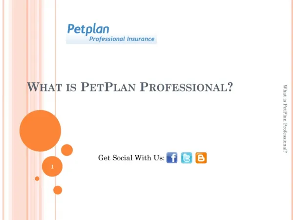 "What is petplan professional "