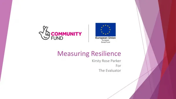 Measuring Resilience