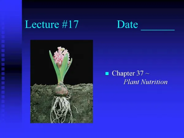 Lecture 17 Date ______