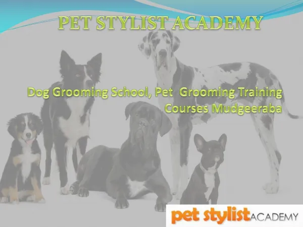 Pet Grooming Certification