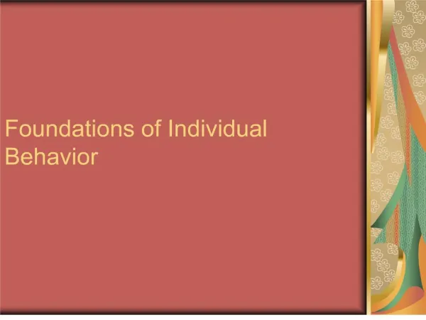 foundations of individual behavior