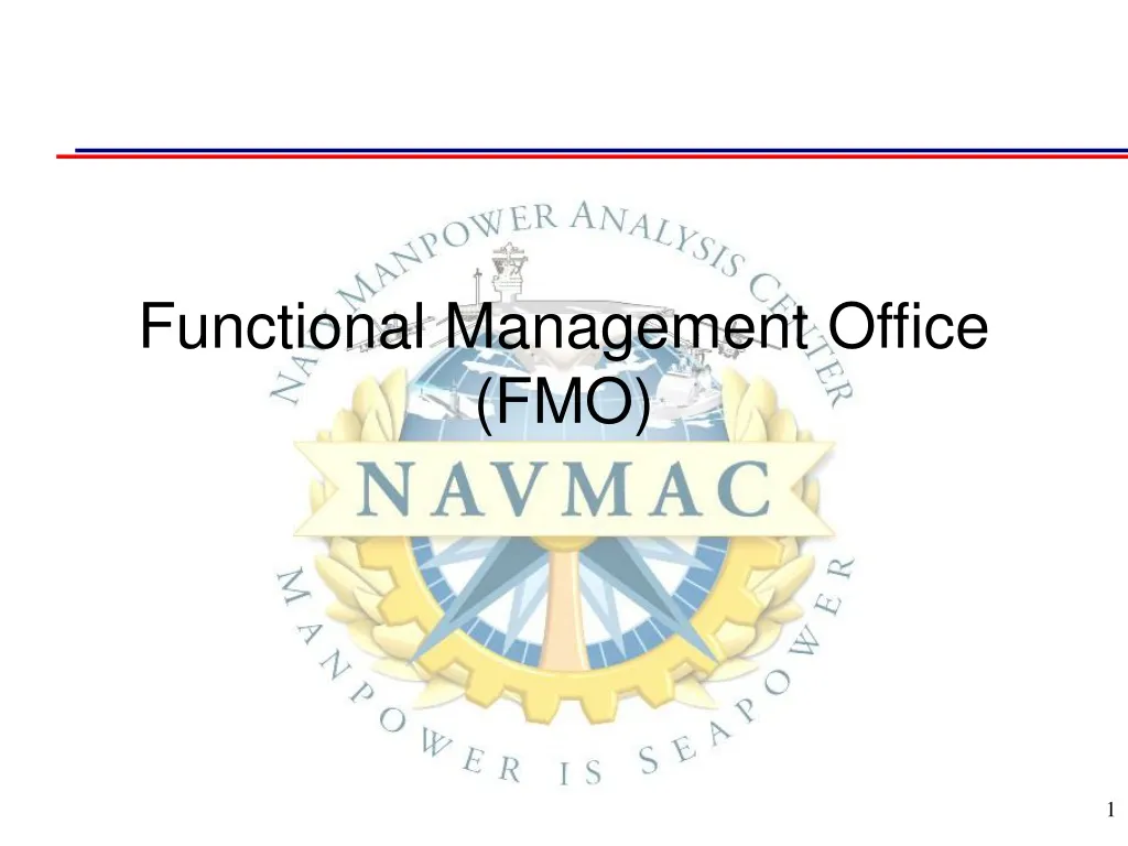 functional management office fmo