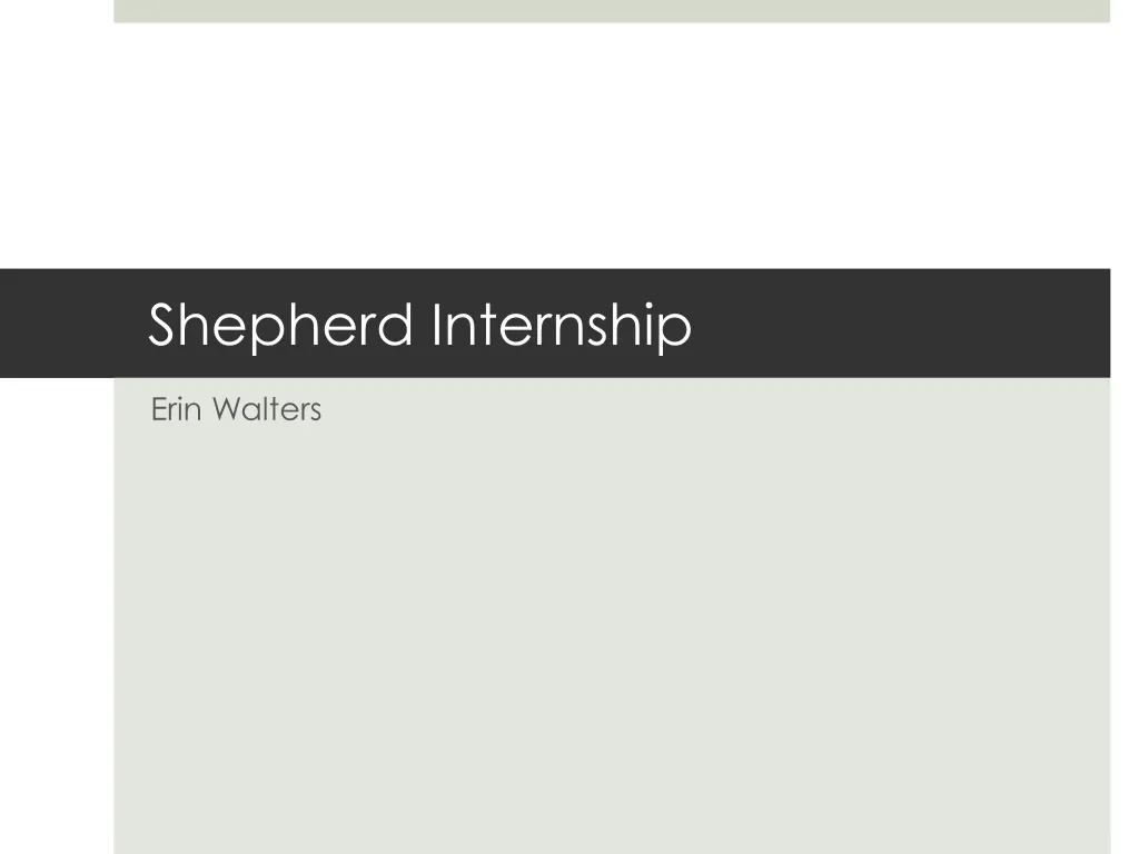 shepherd internship