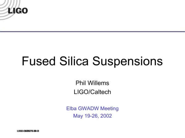 Fused Silica Suspensions
