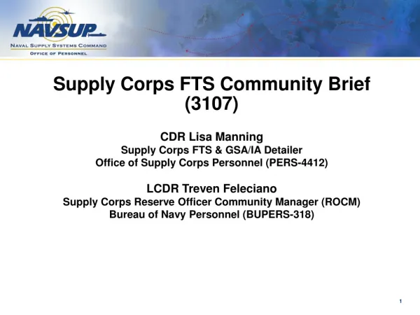 Supply Corps FTS Community Brief (3107) CDR Lisa Manning Supply Corps FTS &amp; GSA/IA Detailer