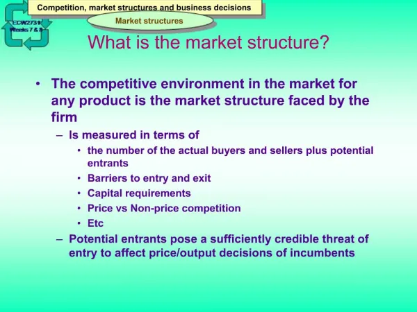 What is the market structure