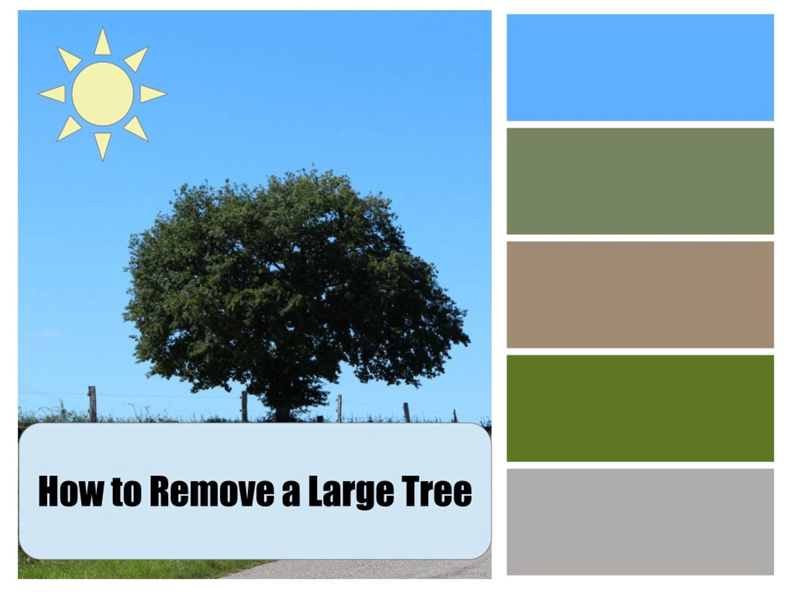 PPT - How to Remove a Large Tree PowerPoint Presentation, free download ...