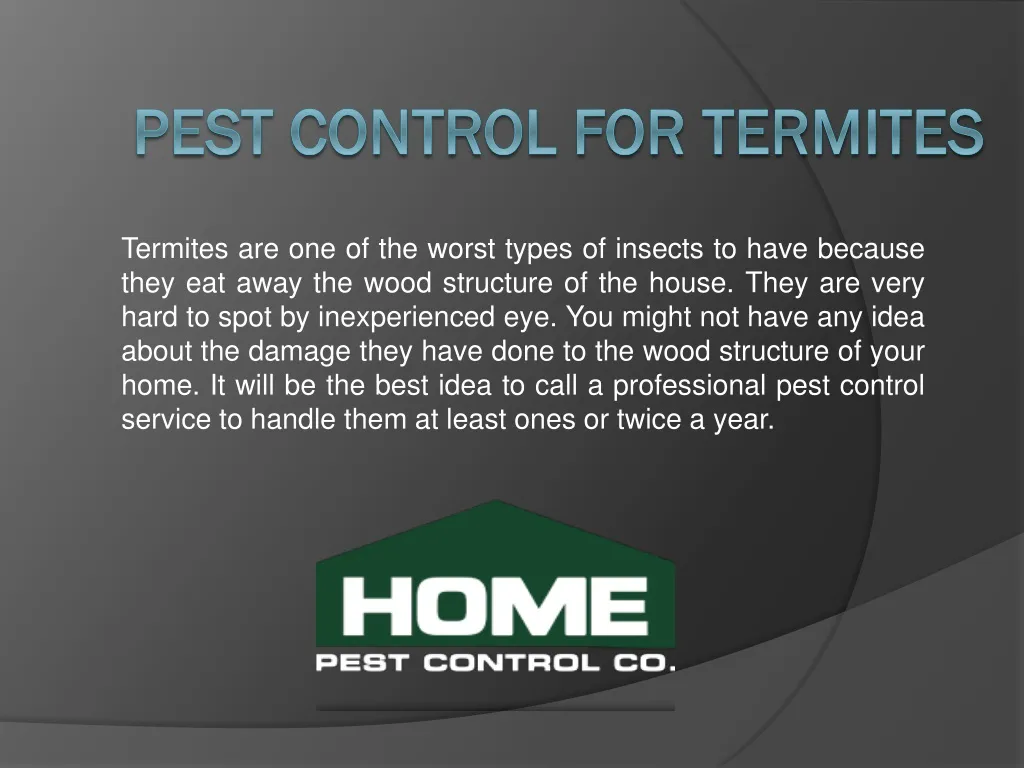pest control for termites