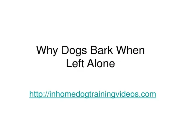 Why Dogs Bark When Left Alone