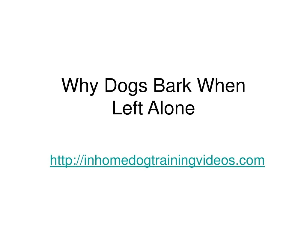 why dogs bark when left alone