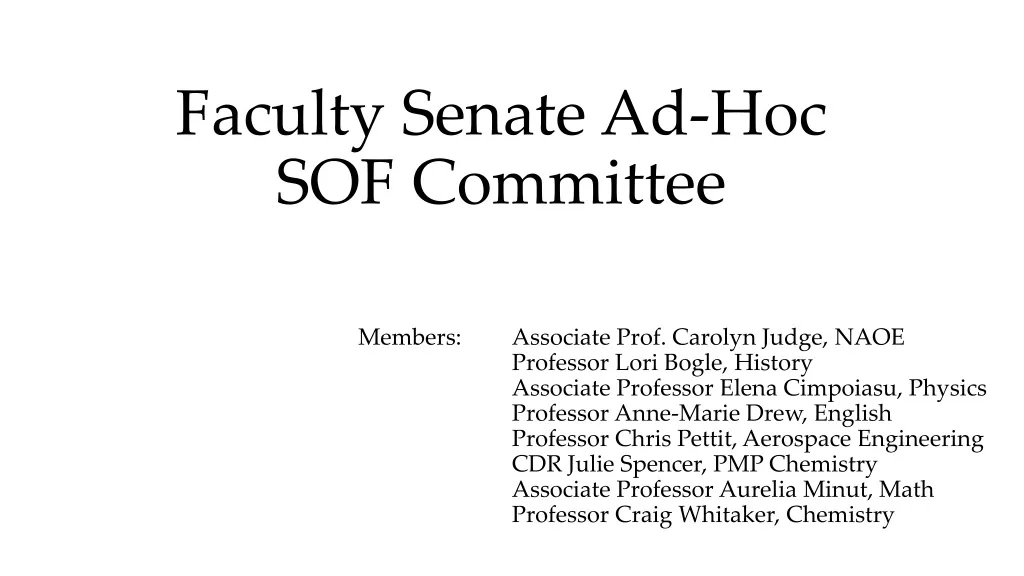 faculty senate ad hoc sof committee