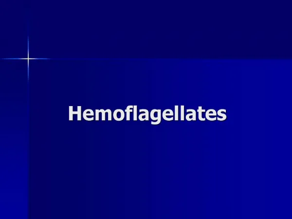 Hemoflagellates