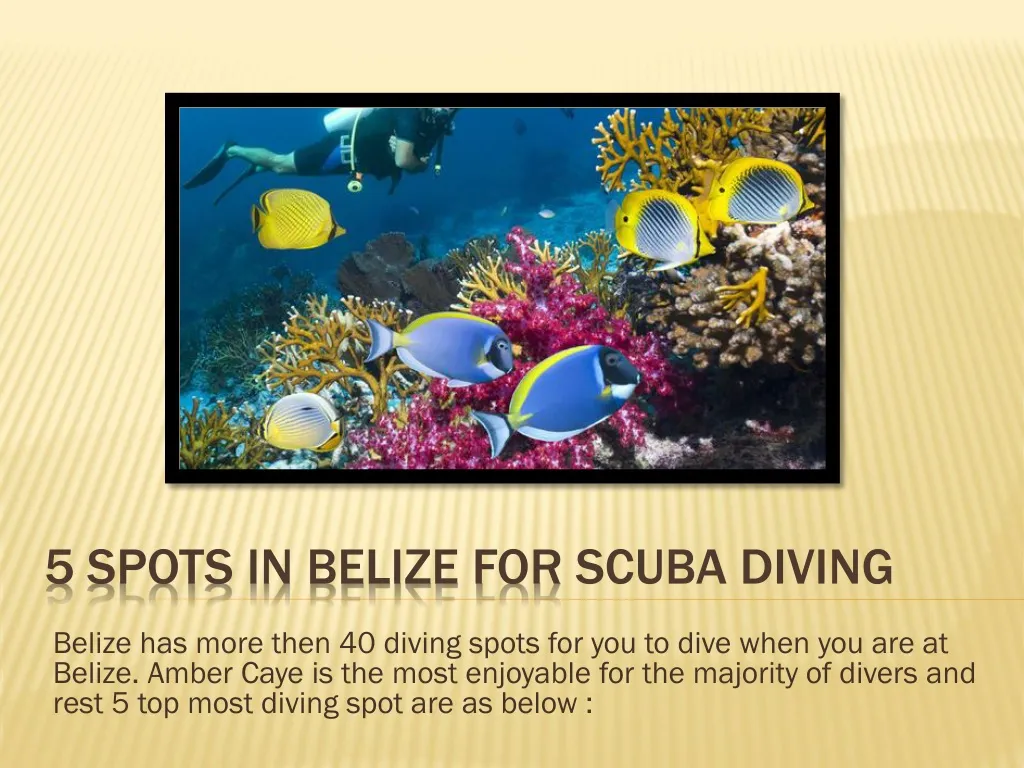 5 spots in belize for scuba diving