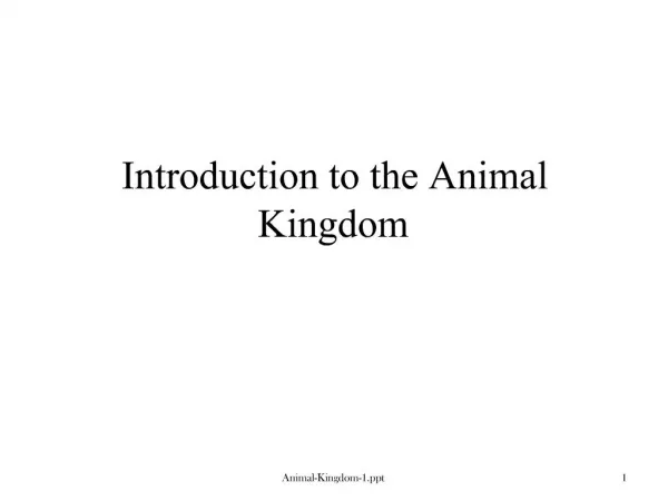 Introduction to the Animal Kingdom