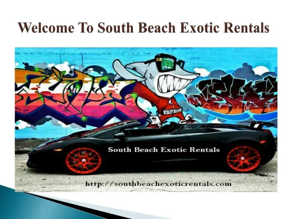 South Beach Exotic Rentals