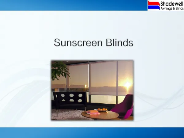 Best Sunscreen Blind For Windows