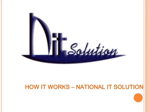 National IT Solution - How It Works