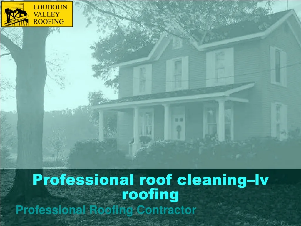professional roof cleaning lv roofing