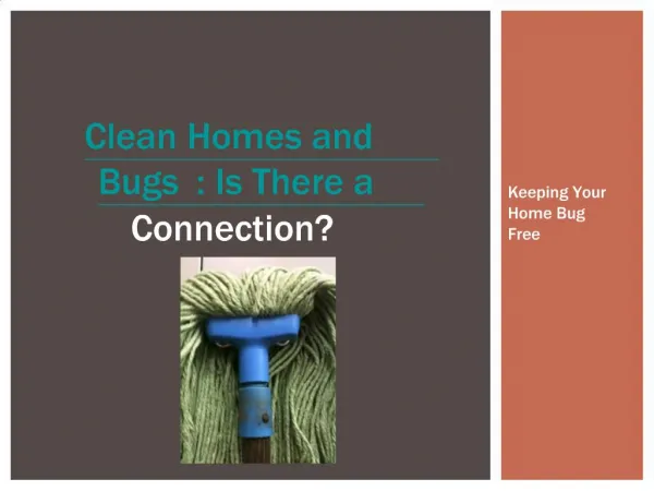 Clean Homes and Bugs: Is There a Connection?